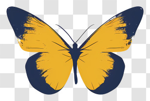 Monarch Butterfly - Yellow And Blue Butterfly Transparent PNG