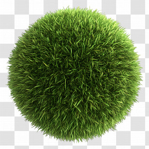Grass Top View - Green Grass Sphere Illustration Transparent PNG