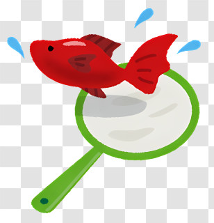 Fish - Goldfish With Green-Handled Net And Splash Details Transparent PNG