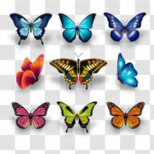 Monarch Butterfly Insect Swallowtail Papilio Ulysses - Butterflies And Moths - Vector Decorative Transparent PNG