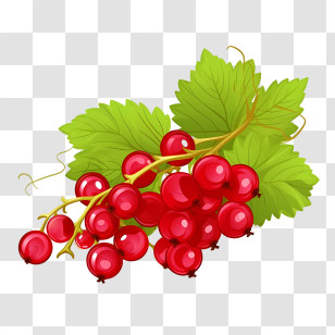 Cranberries - Red Currants With Green Leaves Illustration Transparent PNG