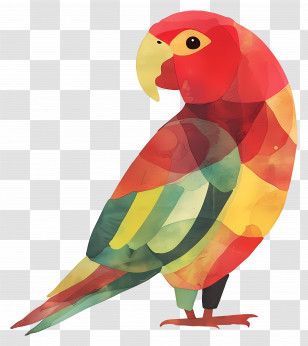 Parrot - Colorful Watercolor Parrot Design Transparent PNG