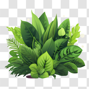 Green Plant - Lush Green Foliage With Various Leaf Designs Transparent PNG