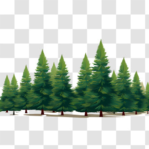 Christmas Tree - Group Of Natural Pine Trees Transparent PNG