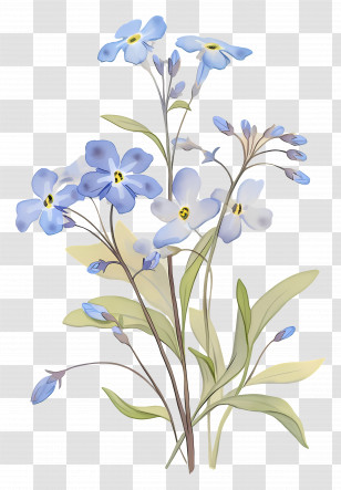 Forget Me Not Flower - Beautiful Watercolor Blue Flowers Illustration Transparent PNG
