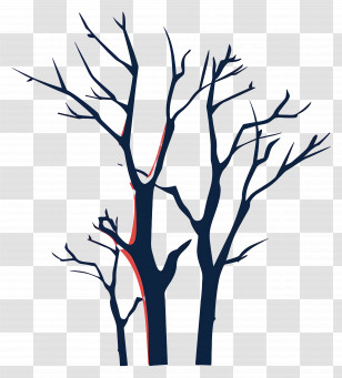 Tree - Bare Tree Silhouette Transparent PNG