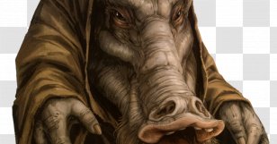 Star Wars Roleplaying Game Jedi Knight: Academy Knight II: Outcast Wars: The Old Republic - Wildlife - Mercenary Transparent PNG