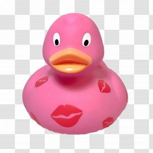 Duck Pink M - Bird - Rubber Transparent PNG