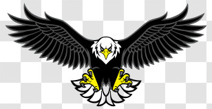 Eagles Logo - Illustration Of Spread-Eagle Design In Bold Colors Transparent PNG