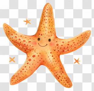 Starfish - Illustration Of A Cute Orange Starfish Transparent PNG