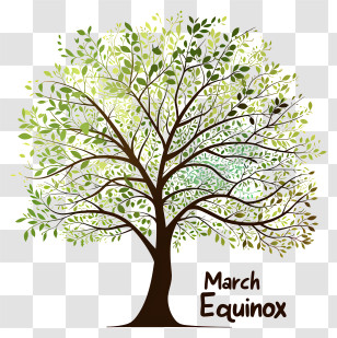 March Equinox - Green Tree For March Equinox Transparent PNG