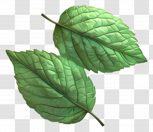 Green Leaf - Green Mint Leaves Illustration Transparent PNG