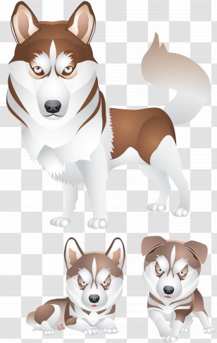 Siberian Husky Puppy - Dog Breed Group - Clipart Transparent PNG