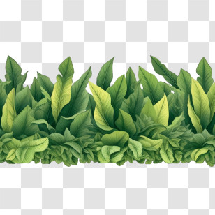 Leaf Border - Green Leafy Plants Illustration Transparent PNG