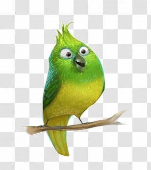 Parrot Bird Parakeet Cartoon - Drawing - Funny Transparent PNG