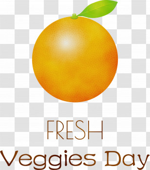 Meter Nutritiology Orange S.a. Consabor Retamar Transparent PNG