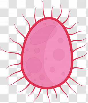 Pink Circle Oval Transparent PNG