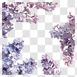 Lilac Flowers - Beautiful Purple And Pink Lilac Flowers Transparent PNG