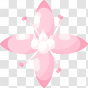 Tropical Flower - Pink Flower With Petals Transparent PNG