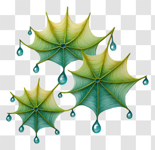 Dewdrop Webs - Abstract Green Leaves With Water Drops Transparent PNG