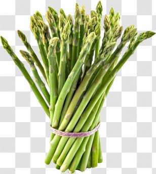 Asparagus Food Vegetable Noor Trade House Cooking - Leaf - Rhubarb Transparent PNG