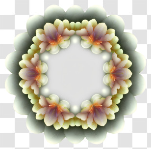 3d Floral Frame - Floral Frame With Petals And Ornament Transparent PNG