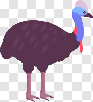 Icon - Colorful Cassowary Bird Illustration Transparent PNG