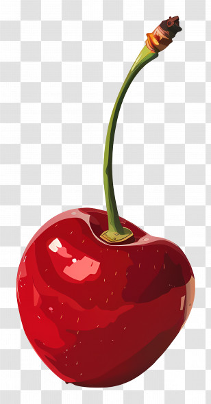 Cherry - Red Cherry With Detailed Stem Transparent PNG