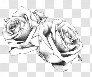 Rose Tattoo Rosario Delle Transparent Png