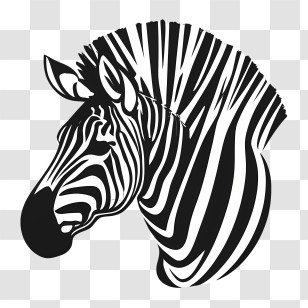 Zebra Logo - Zebra Head Illustration In Black And White Transparent PNG
