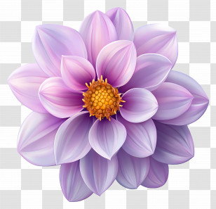 Good Morning - Beautiful Purple Dahlia Flower Illustration Transparent PNG