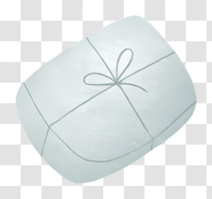 Gift Box - Wrapped Gift With Bow For Special Occasions Transparent PNG