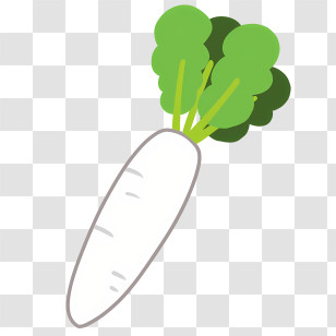 Icon - Illustration Of Fresh White Radish Transparent PNG