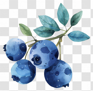 Blueberry - Watercolor Blueberry Branch Painting Transparent PNG