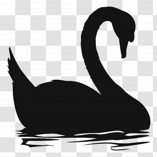 Swan Silhouette - Black Swan Silhouette On Water Transparent PNG