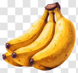 Banana - Yellow Fruit Of Banana Bunch Transparent PNG