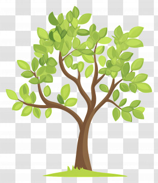 Simple Tree - Beautiful Green Tree Illustration Transparent PNG