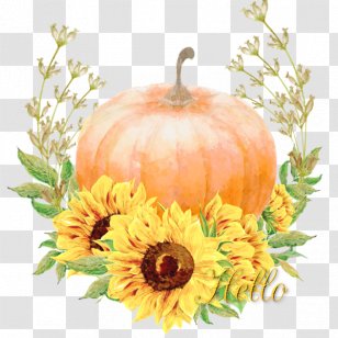 Pumpkin Cucurbita Pepo Var. Giromontiina Zucchini Gourd Transparent PNG