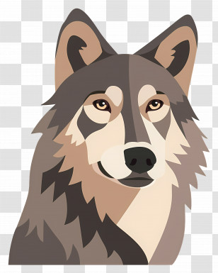 Wolf - Gray Wolf In Wildlife Illustration Transparent PNG