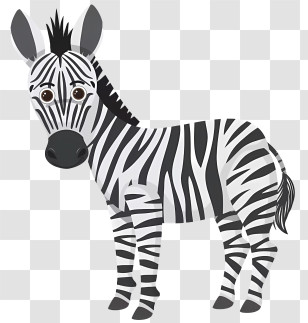 Cute Zebra - Cute Zebra Cartoon Drawing With Big Eyes Transparent PNG