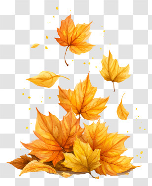 A Pile Of Maple Leaves - Falling Watercolor Autumn Leaves Transparent PNG