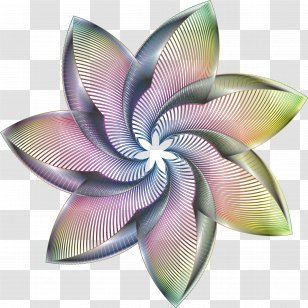 Flower Line Art Desktop Wallpaper Clip - Ornament Transparent PNG
