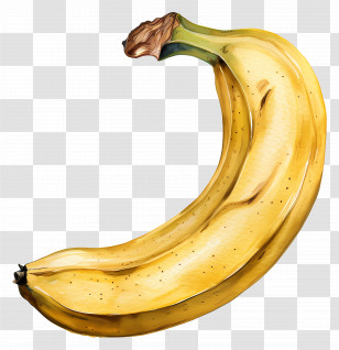 Banana - Yellow Banana Illustration Transparent PNG