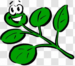 Plant Cartoon Drawing Clip Art - Artwork - Smiley Cliparts Transparent PNG