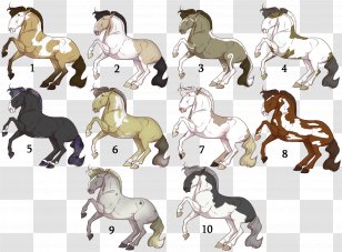 Mustang Stallion Foal Colt Mane - Fauna Transparent PNG