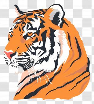 Tiger - Tiger Illustration Highlighting Wildlife Beauty Transparent PNG