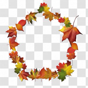 Maple Leaf - Tree - Plane Transparent PNG