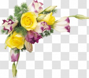 Picture Frames Flower Information Clip Art - Rose Family - Floral Transparent PNG