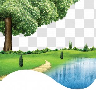 CorelDRAW Download Green - Nature - Spring Background Effect Transparent PNG