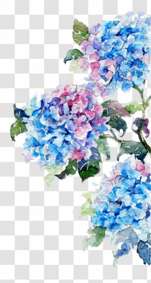 Watercolor Painting Flower Drawing - Illustration - Flowers Transparent PNG